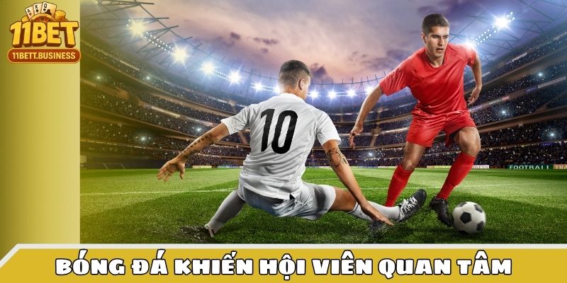 Bóng đá khiến hội viên quan tâm